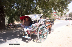 Bagan, horse cart